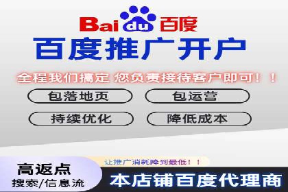 SEM竞价优化策略：成功案例解析